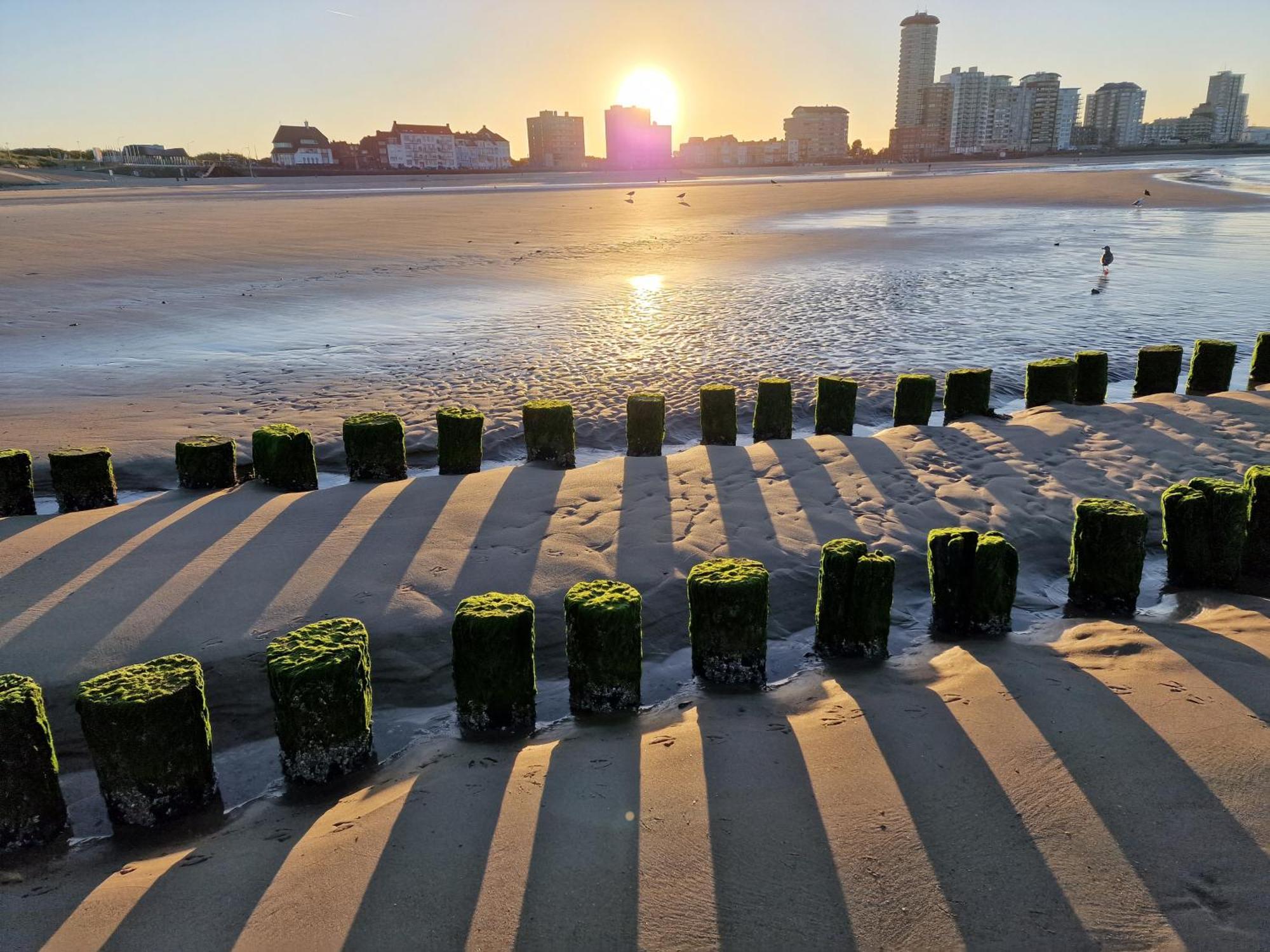 B&B Van Zon Aan Zee Vlissingen Esterno foto